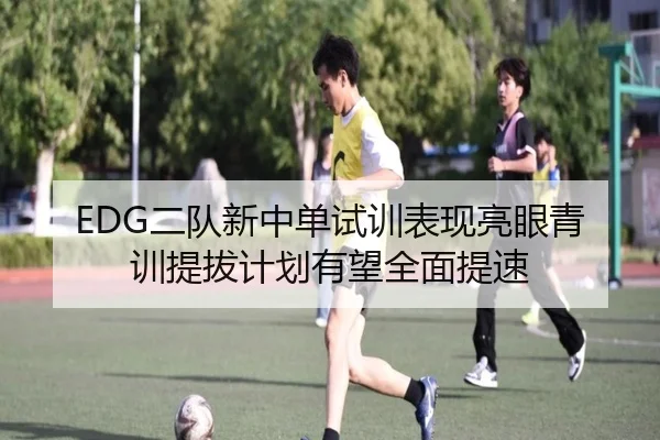 EDG二队新中单试训表现亮眼青训提拔计划有望全面提速